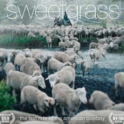 Sweetgrass